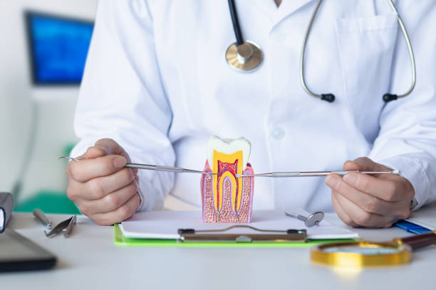Best Weekend Emergency Dentist in Hampton, VA